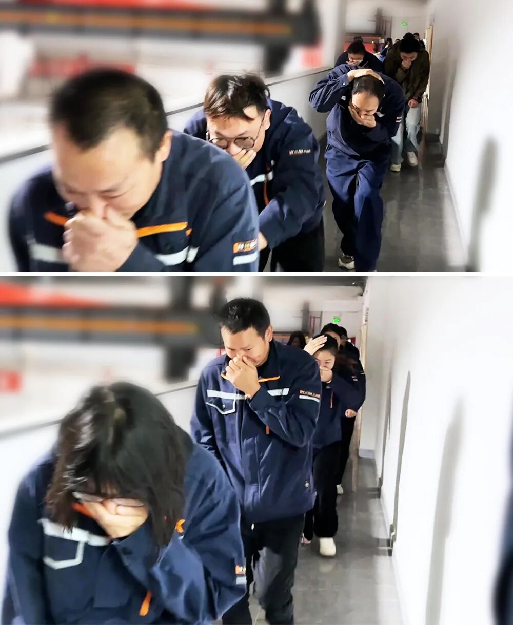 1763690709407691.jpg 1763690709407691.jpg