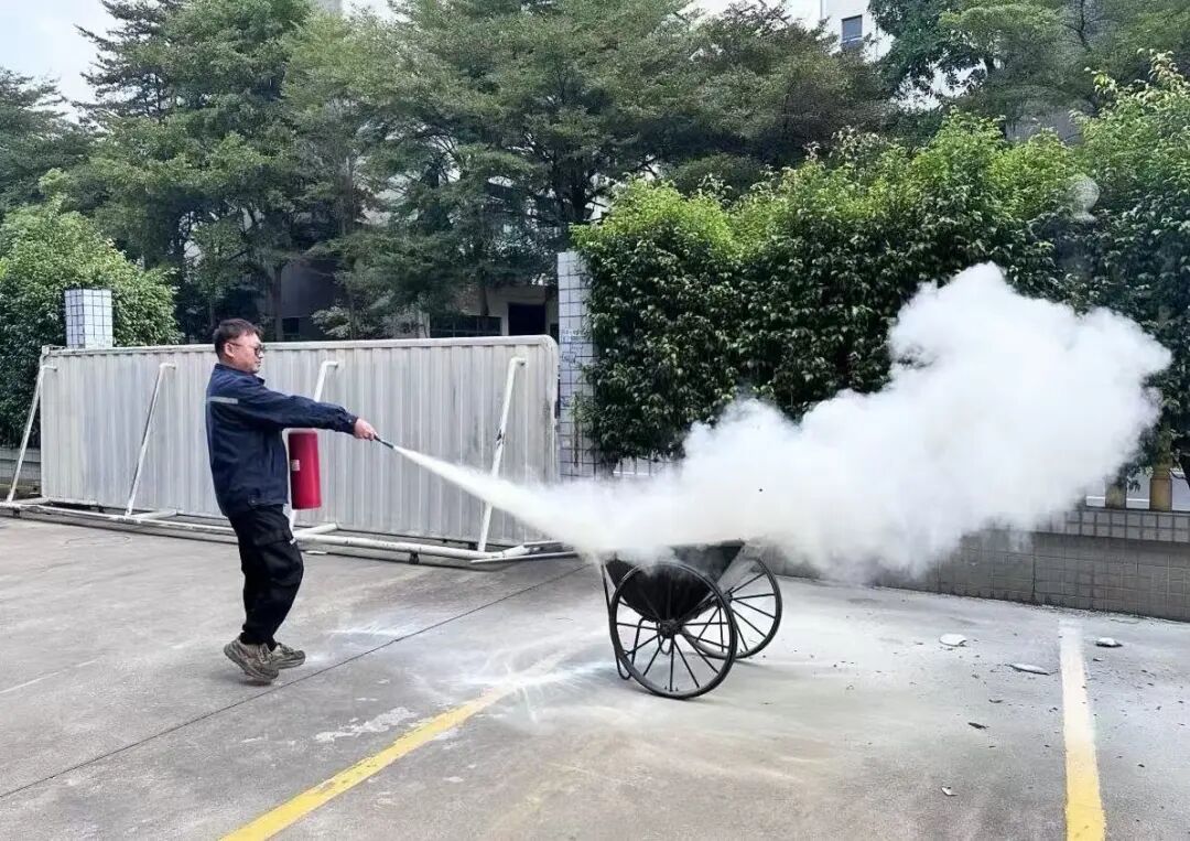 1763690748445343.jpg 1763690748445343.jpg